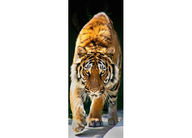 Наклейка на дверь Тигр